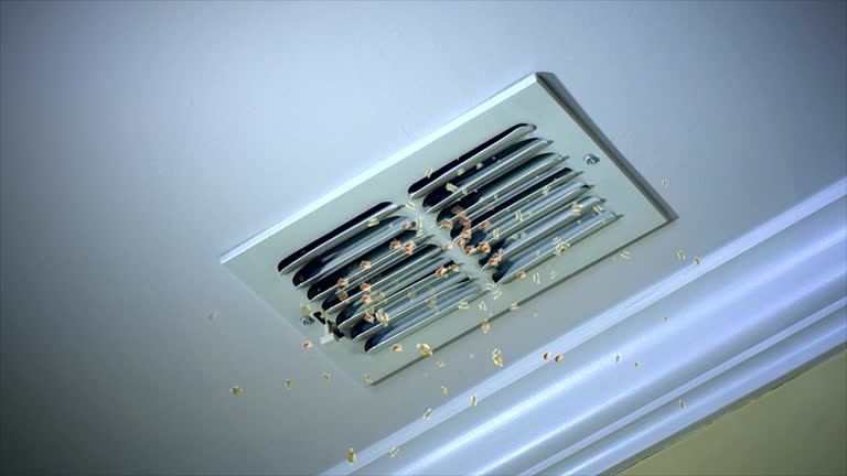 Air Duct Mold Removal in Charenton, LA